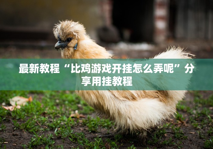 最新教程“比鸡游戏开挂怎么弄呢”分享用挂教程