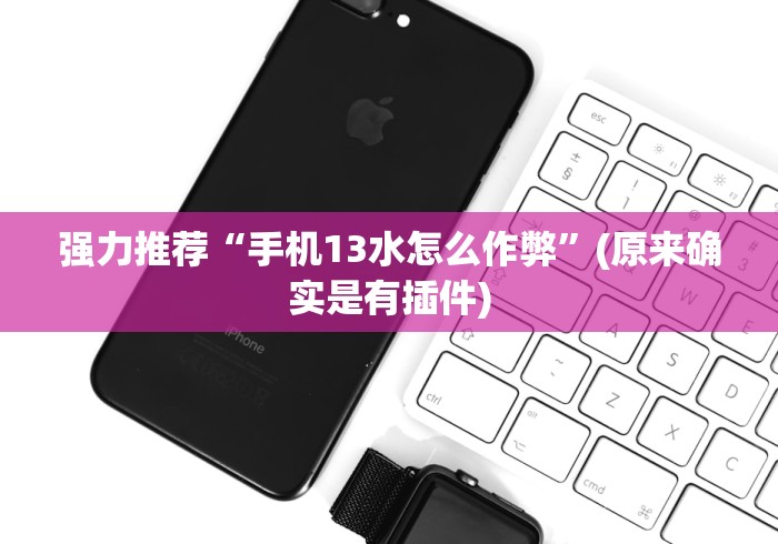 强力推荐“手机13水怎么作弊”(原来确实是有插件)