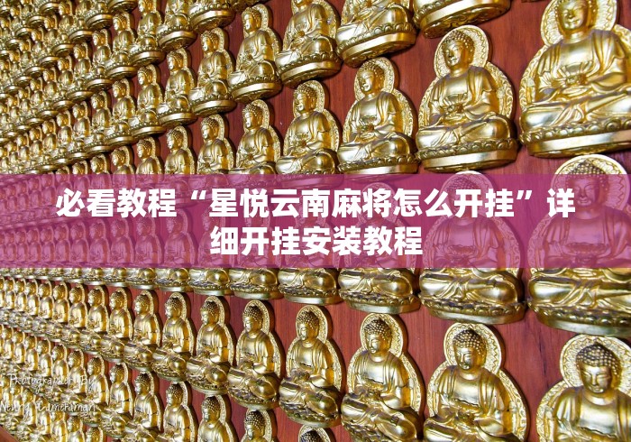 必看教程“星悦云南麻将怎么开挂”详细开挂安装教程
