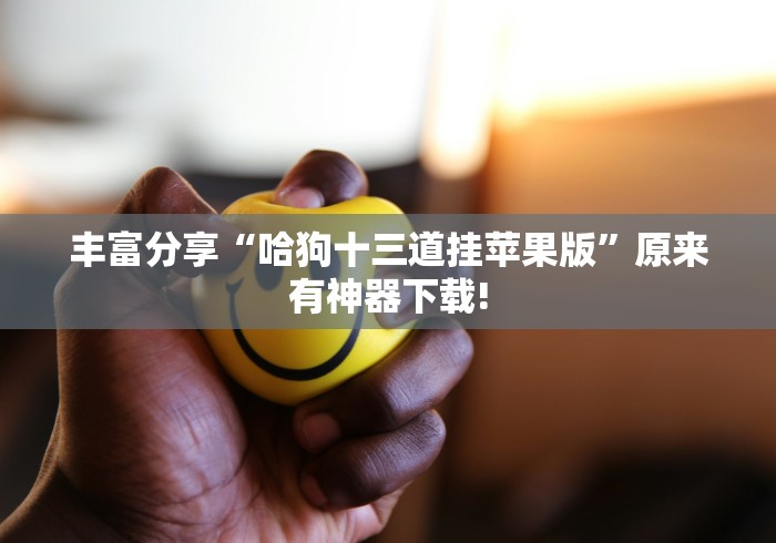 丰富分享“哈狗十三道挂苹果版”原来有神器下载!