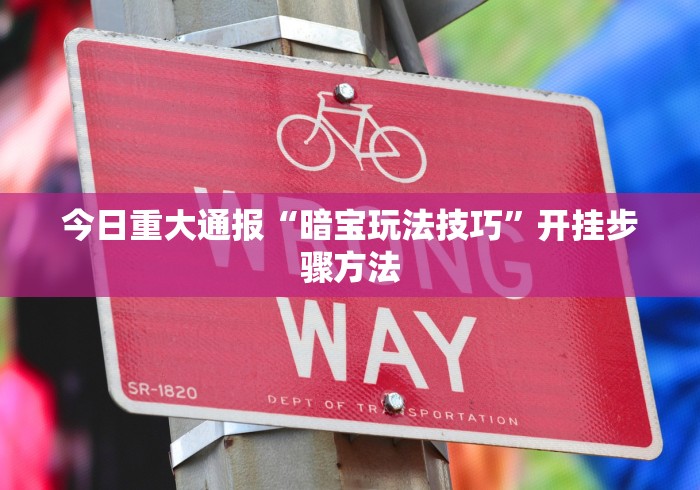 今日重大通报“暗宝玩法技巧”开挂步骤方法