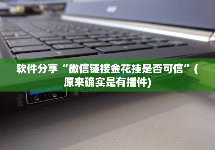 软件分享“微信链接金花挂是否可信”(原来确实是有插件)
