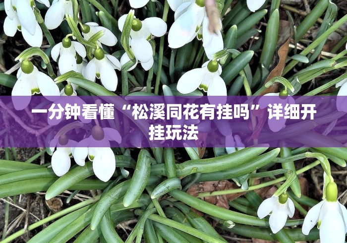 真实辅助“天天麻将天天输”开挂必胜方法