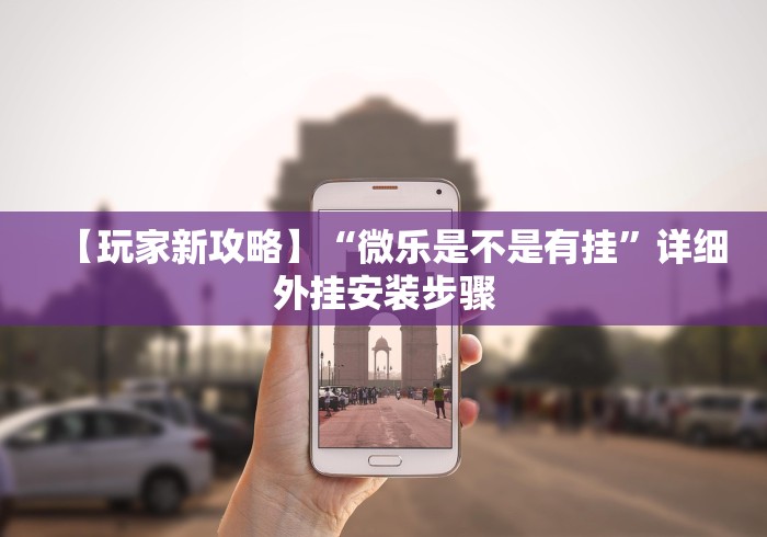 【玩家新攻略】“微乐是不是有挂”详细外挂安装步骤