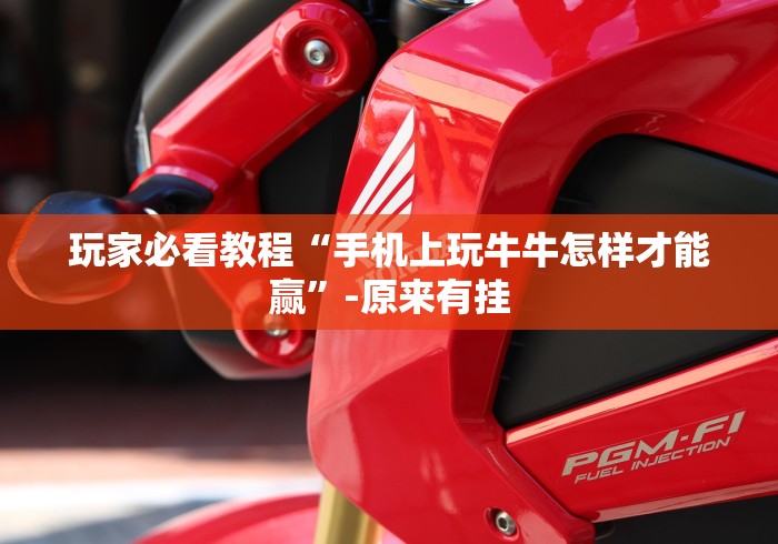 玩家必看教程“手机上玩牛牛怎样才能赢”-原来有挂