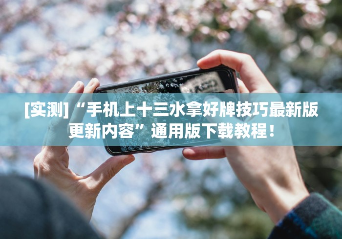[实测]“手机上十三水拿好牌技巧最新版更新内容”通用版下载教程！