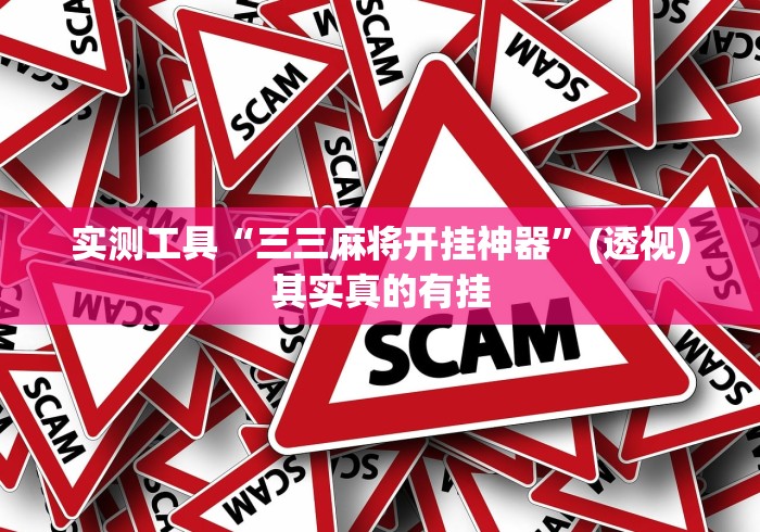 实测工具“三三麻将开挂神器”(透视)其实真的有挂