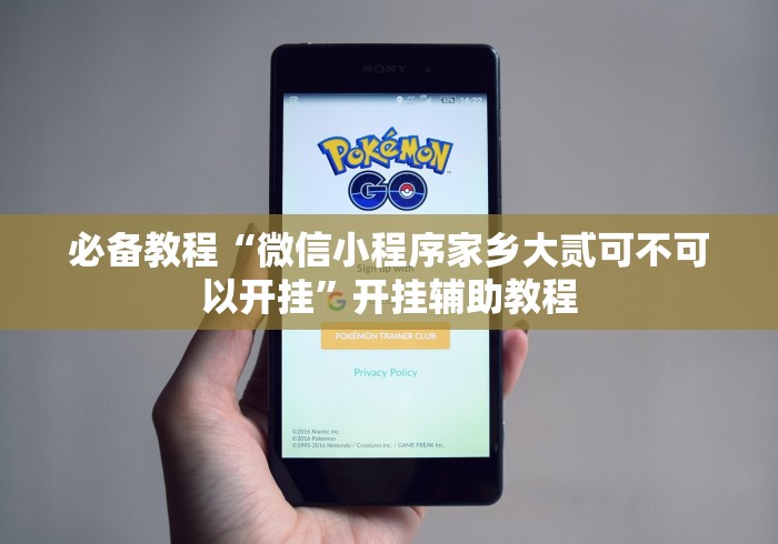 必备教程“微信小程序家乡大贰可不可以开挂”开挂辅助教程