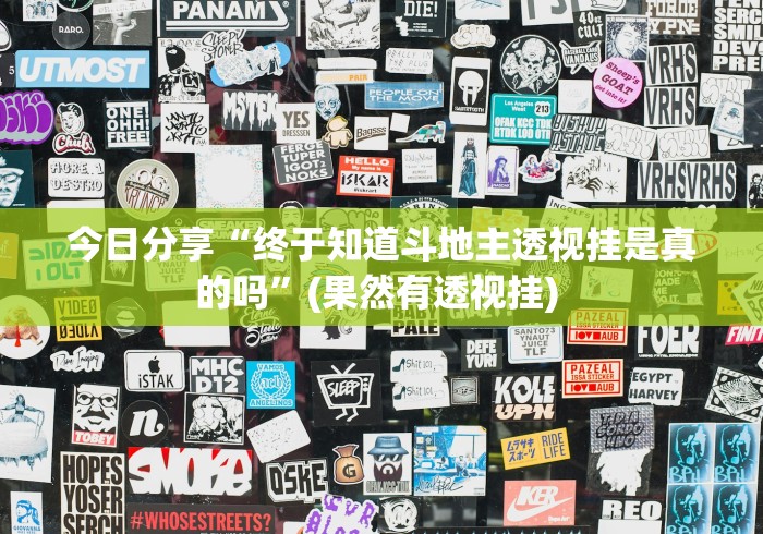 今日分享“终于知道斗地主透视挂是真的吗”(果然有透视挂) 