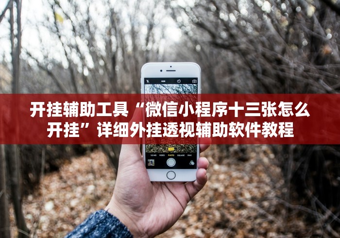 开挂辅助工具“微信小程序十三张怎么开挂”详细外挂透视辅助软件教程