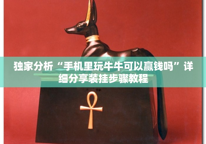 独家分析“手机里玩牛牛可以赢钱吗	”详细分享装挂步骤教程