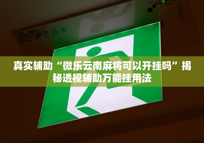真实辅助“微乐云南麻将可以开挂吗”揭秘透视辅助万能挂用法