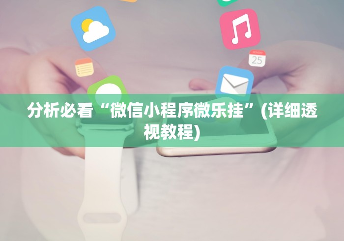 分析必看“微信小程序微乐挂”(详细透视教程)