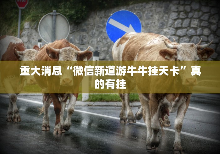 重大消息“微信新道游牛牛挂天卡	”真的有挂