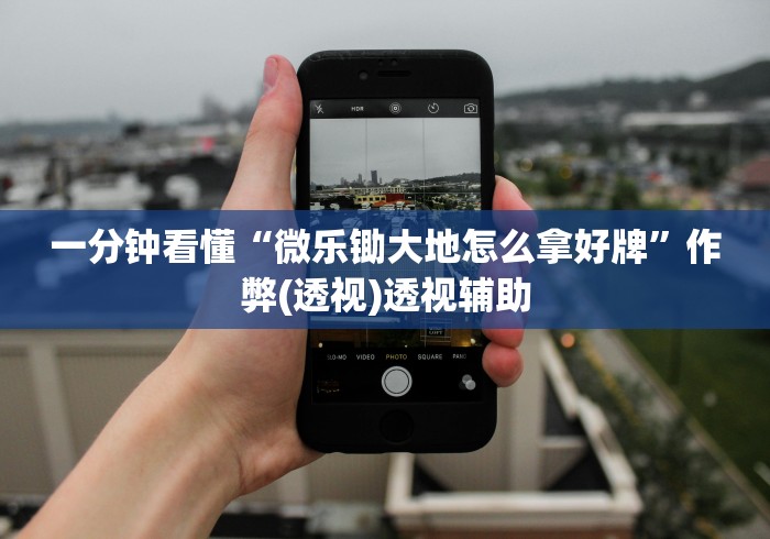 一分钟看懂“微乐锄大地怎么拿好牌”作弊(透视)透视辅助