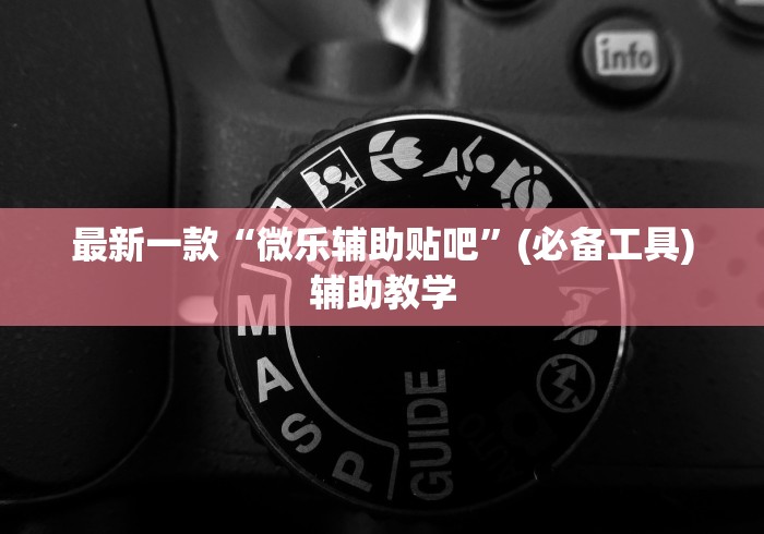 最新一款“微乐辅助贴吧	”(必备工具)辅助教学