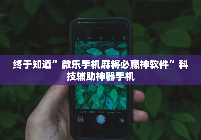 终于知道	”微乐手机麻将必赢神软件”科技辅助神器手机