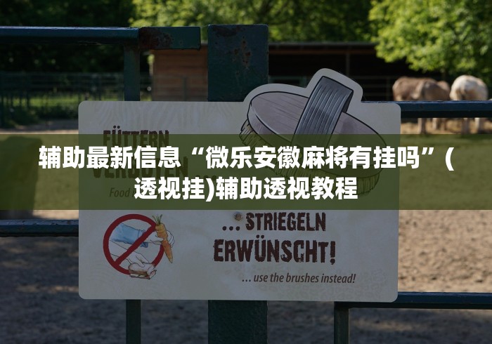 辅助最新信息“微乐安徽麻将有挂吗”(透视挂)辅助透视教程