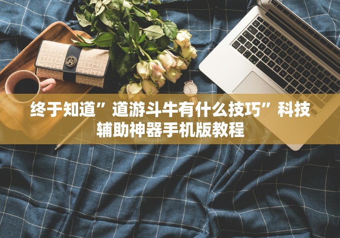 终于知道	”道游斗牛有什么技巧”科技辅助神器手机版教程