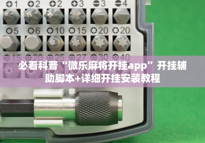 必看科普“微乐麻将开挂app	”开挂辅助脚本+详细开挂安装教程